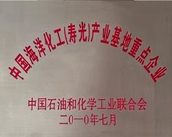 中國(guó)海洋化工壽光產(chǎn)業(yè)基地重點(diǎn)企業(yè)